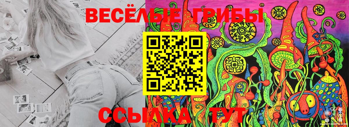 Галлюциногенные грибы MAGIC MUSHROOMS Тавда