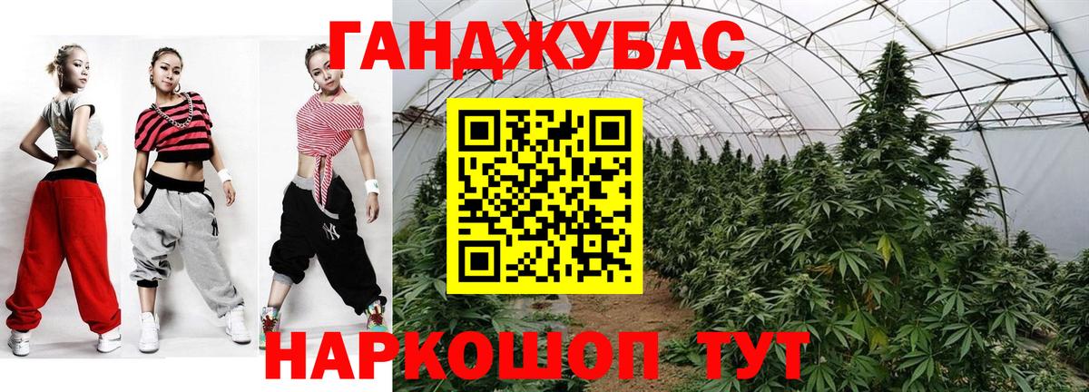 Тавда  Канабис OG Kush  Бошки марихуана сатива  Вход с VPN 